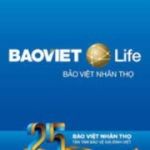 TỔNG CÔNG TY BẢO HIỂM BẢO VIỆT