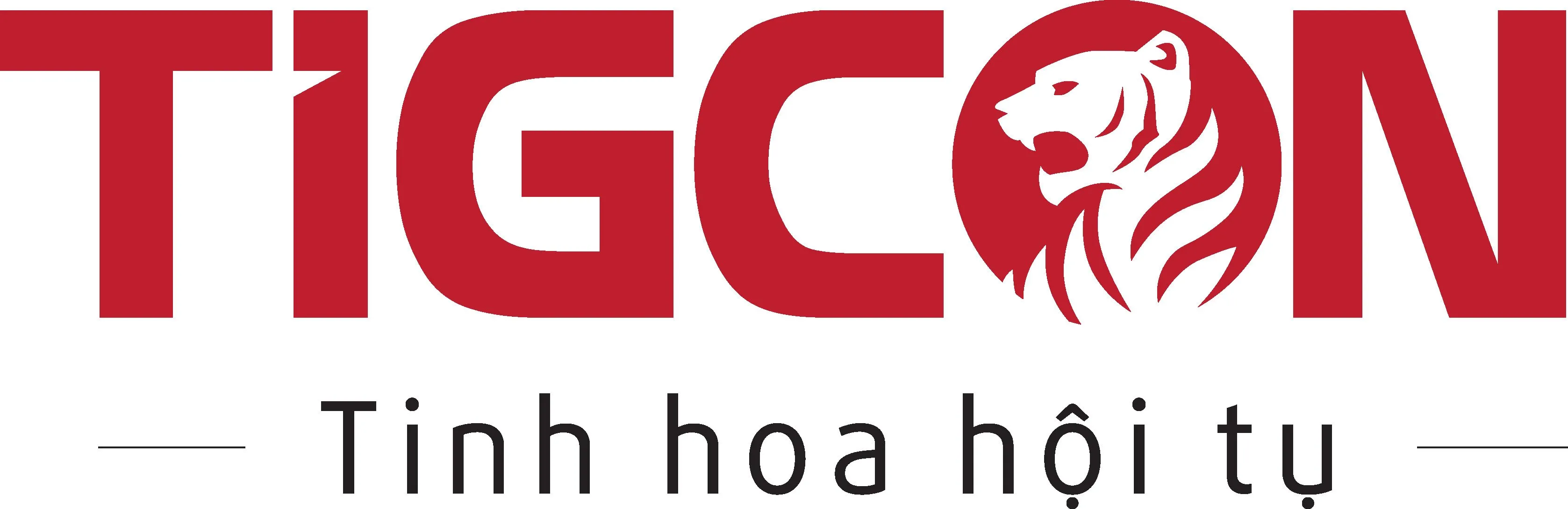 CÔNG TY CỔ PHẦN TẬP ĐOÀN TIGCON