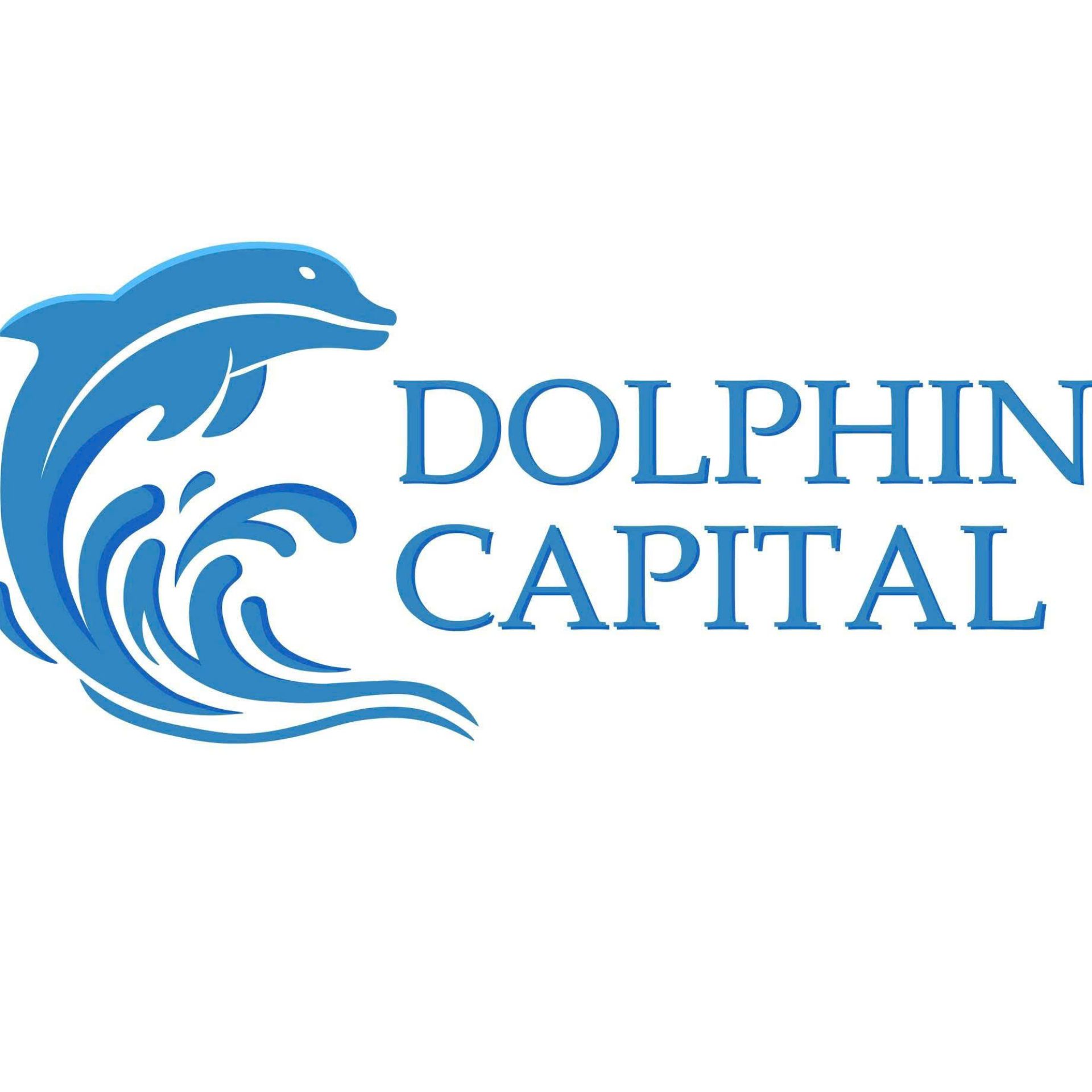 CÔNG TY TNHH GIẢI PHÁP CÔNG NGHỆ DOLPHINITY CAPITAL