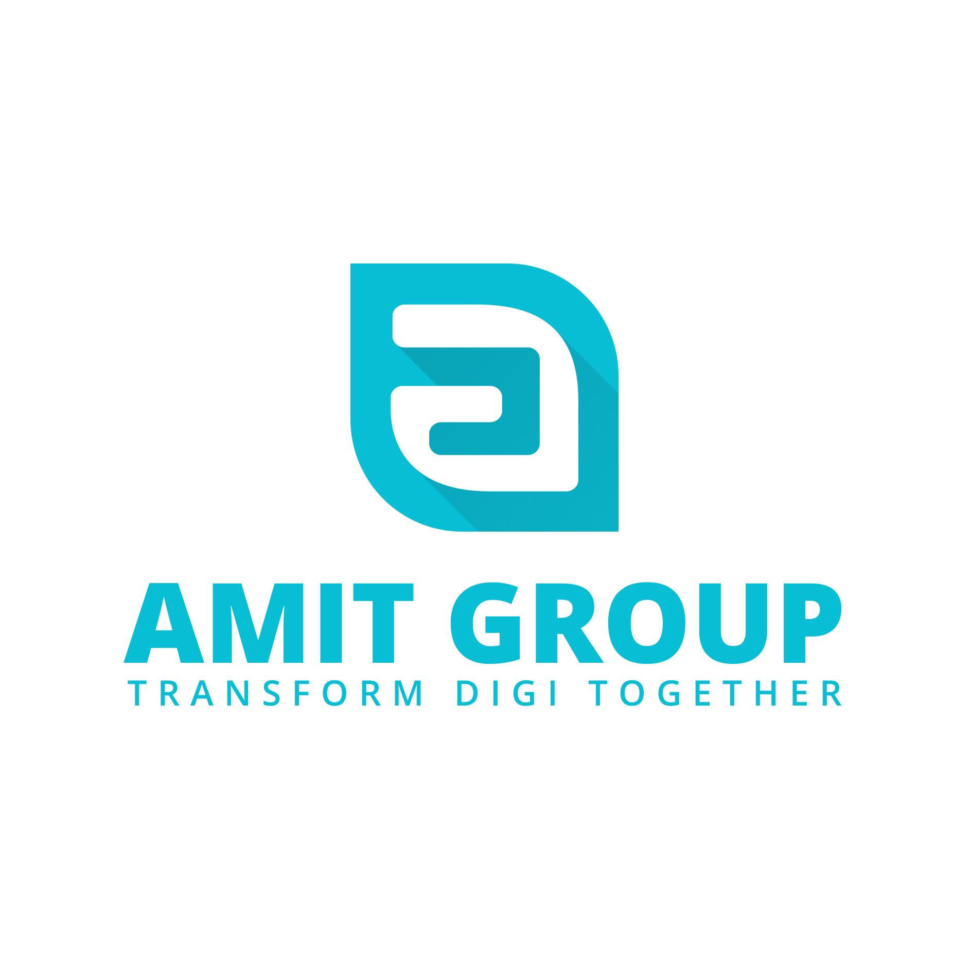 Công ty cổ phần AMIT Group