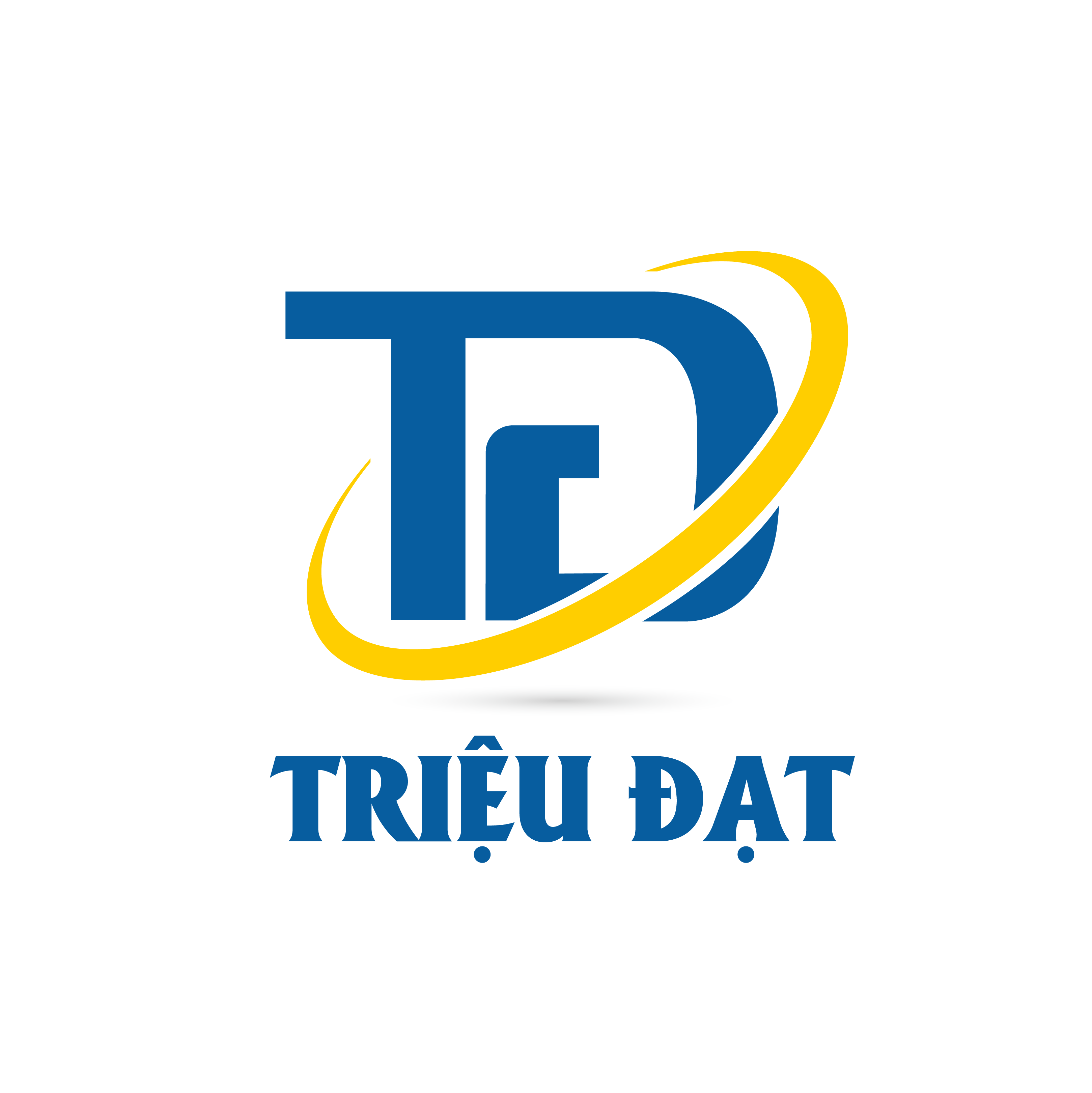 CÔNG TY CP CÔNG NGHIỆP ĐIỆN TRIỆU ĐẠT