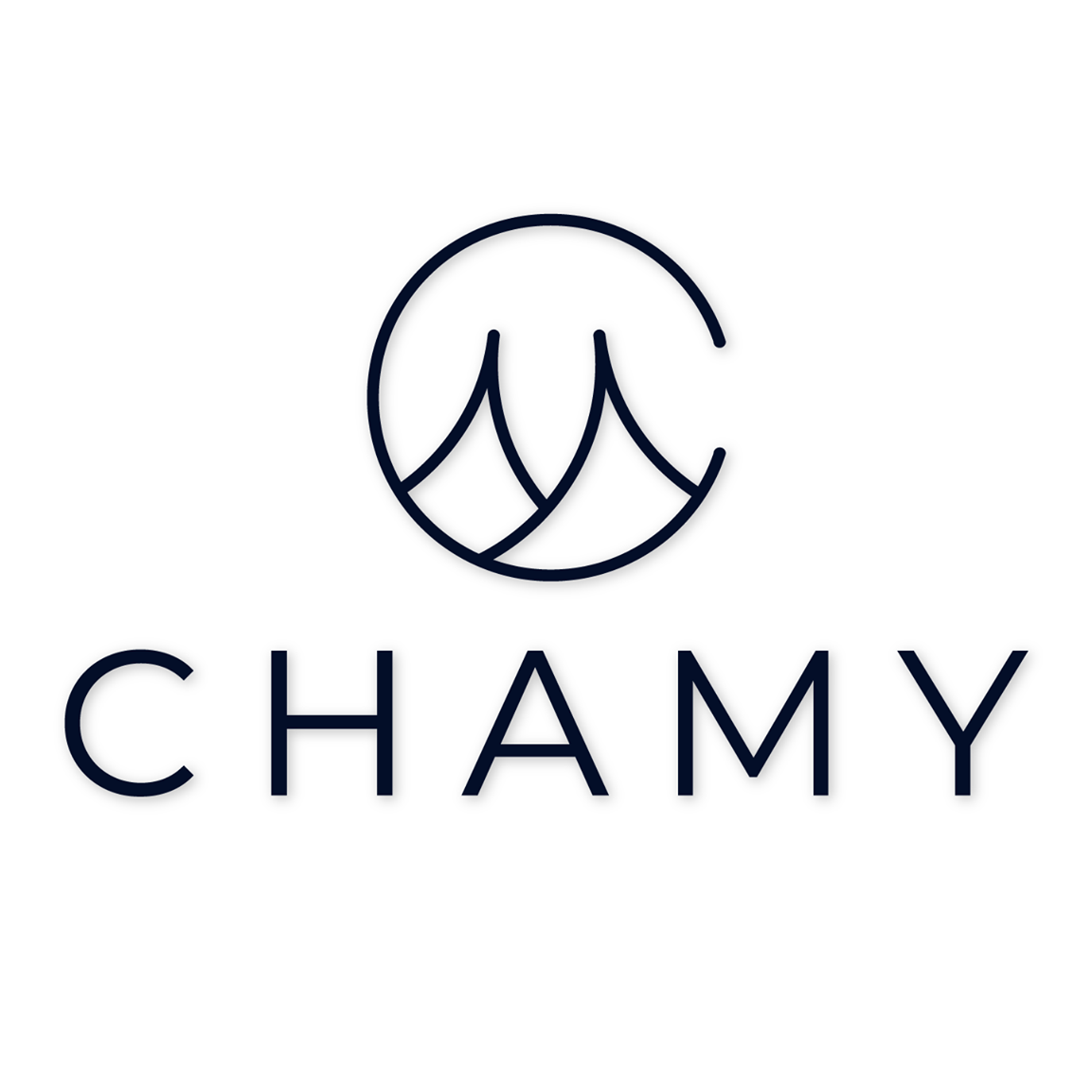 CÔNG TY TNHH ĐẦU TỪ & PHÁT TRIỂN THƯƠNG MẠI CHAMY
