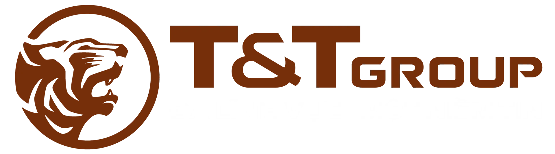 CÔNG TY TNHH QUẢN LÝ VÀ KINH DOANH BẤT ĐỘNG SẢN T&T