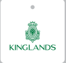 Kinglands JSC