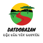 Bazan Việt