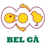 BEL GÀ VIỆT NAM - CÔNG TY TNHH BDH VIỆT NAM
