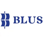 BLUSAIGON CORPORATION