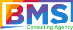 BMS Consulting Agency