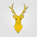 BrainyDeer Design
