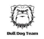 Bull Vn