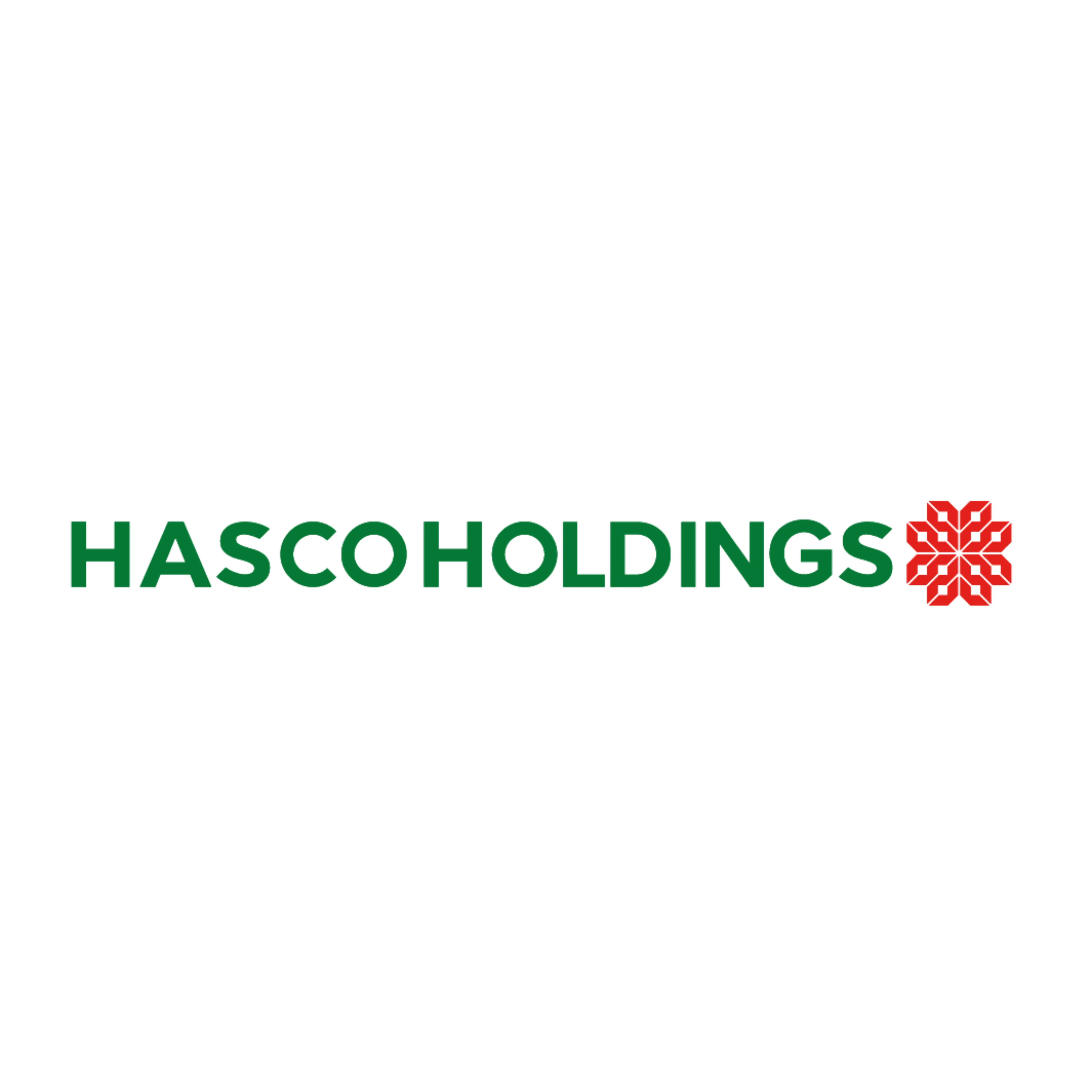 CÔNG TY CỔ PHẦN ĐẦU TƯ HASCO HOLDINGS