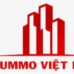 CÔNG TY CỔ PHẦN TẬP ĐOÀN BẤT ĐỘNG SẢN SUMMO VIỆT NAM