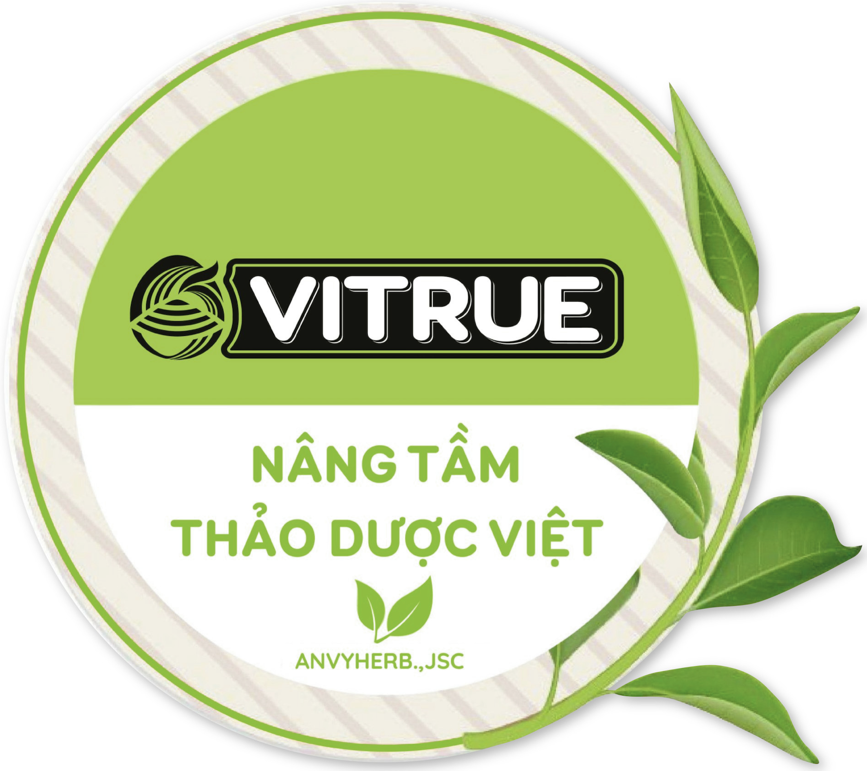 CÔNG TY CỔ PHẦN ANVYHERB