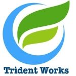 CÔNG TY CỔ PHẦN TRIDENT OFFSHORE