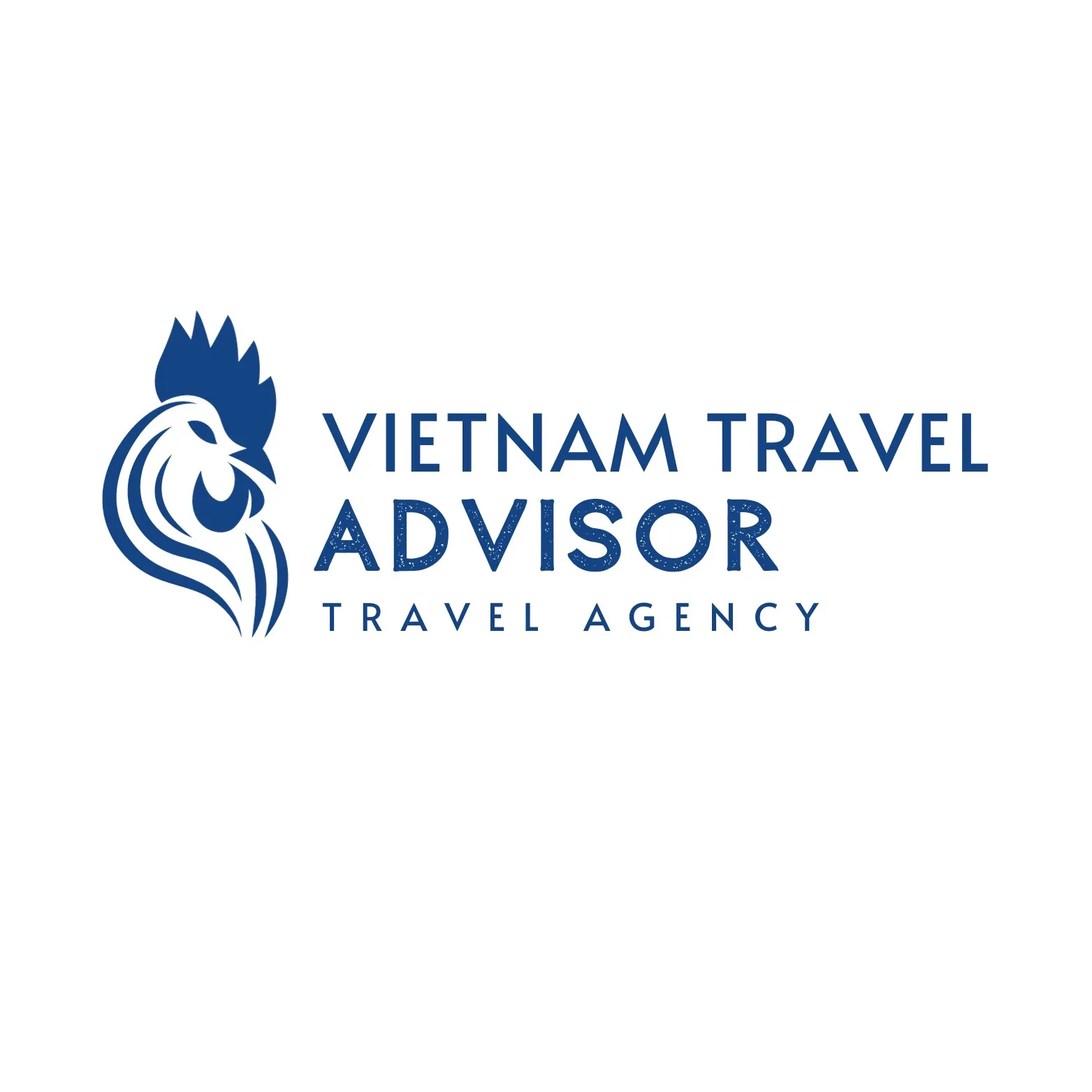 CÔNG TY TNHH TƯ VẤN DU LỊCH VIỆT NAM VTA