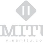 CÔNG TY CỔ PHẦN MITU VIỆT NAM