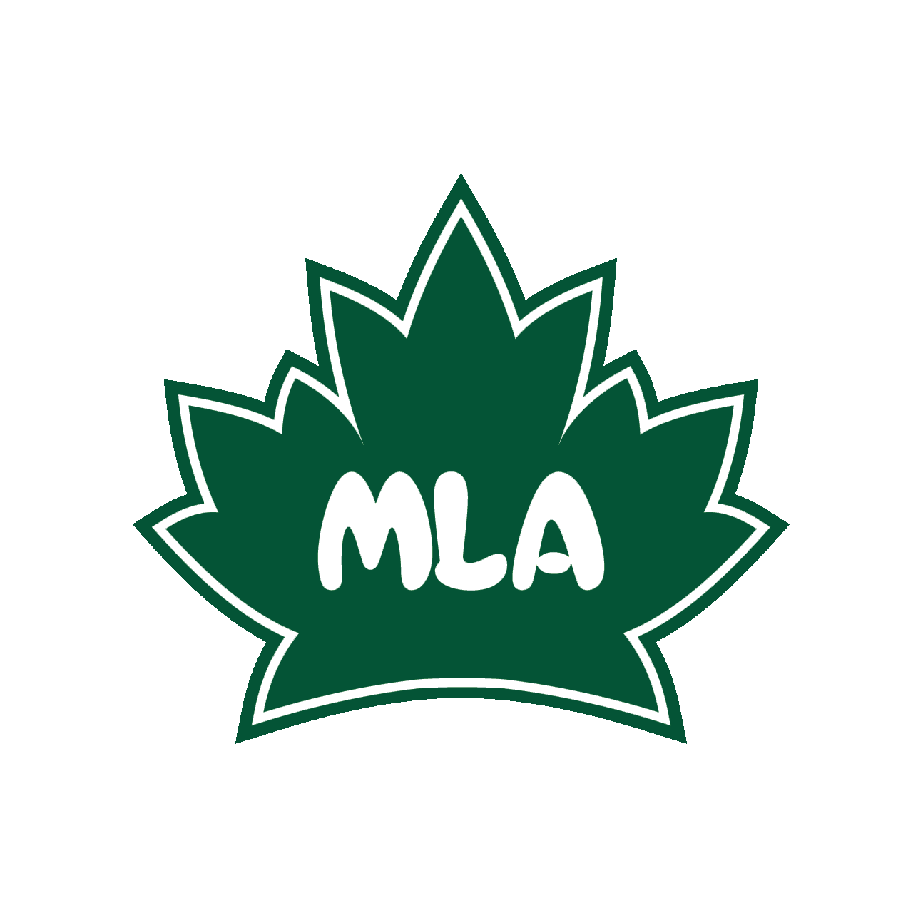 TRƯỜNG TIỂU HỌC, TRUNG HỌC CƠ SỞ VÀ TRUNG HỌC PHỔ THÔNG MAPLE LEAF ACADEMY