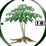 CÔNG TY TRÁCH NHIỆM HỮU HẠN ĐỒNG NHỨT