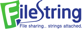 Công ty TNHH FileString Việt Nam