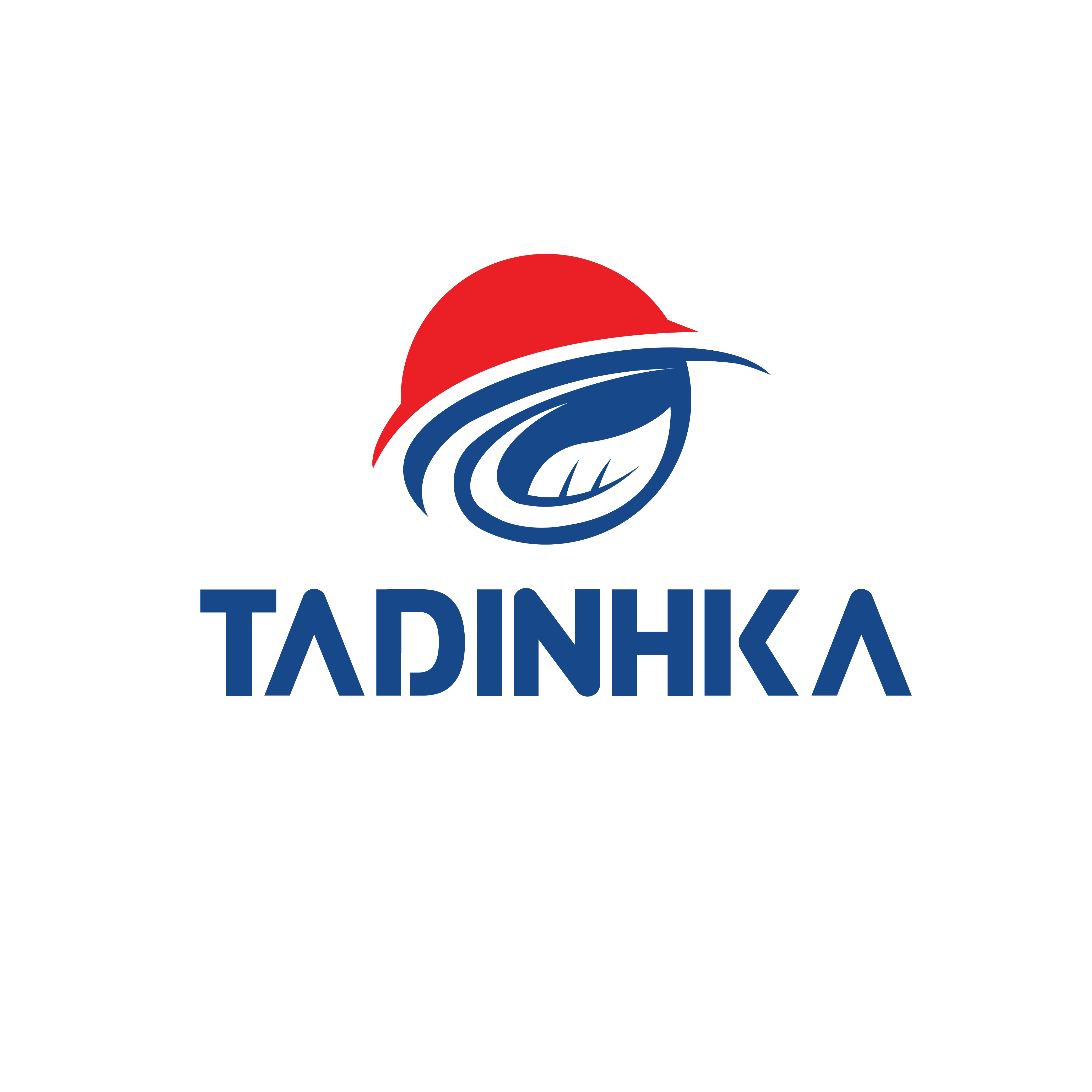 CÔNG TY TNHH TADINHKA VIỆT NAM