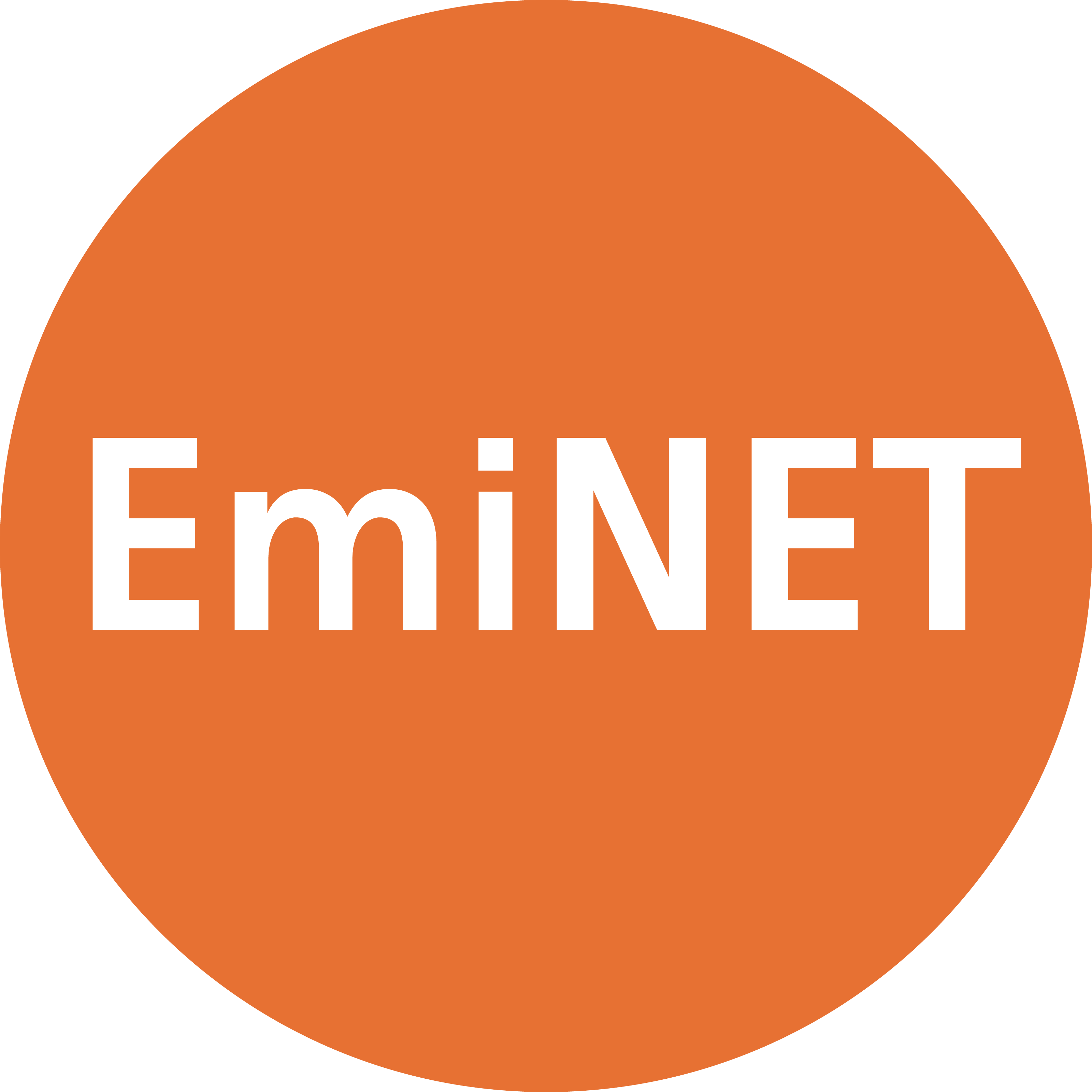 CÔNG TY CỔ PHẦN EMINET VIETNAM