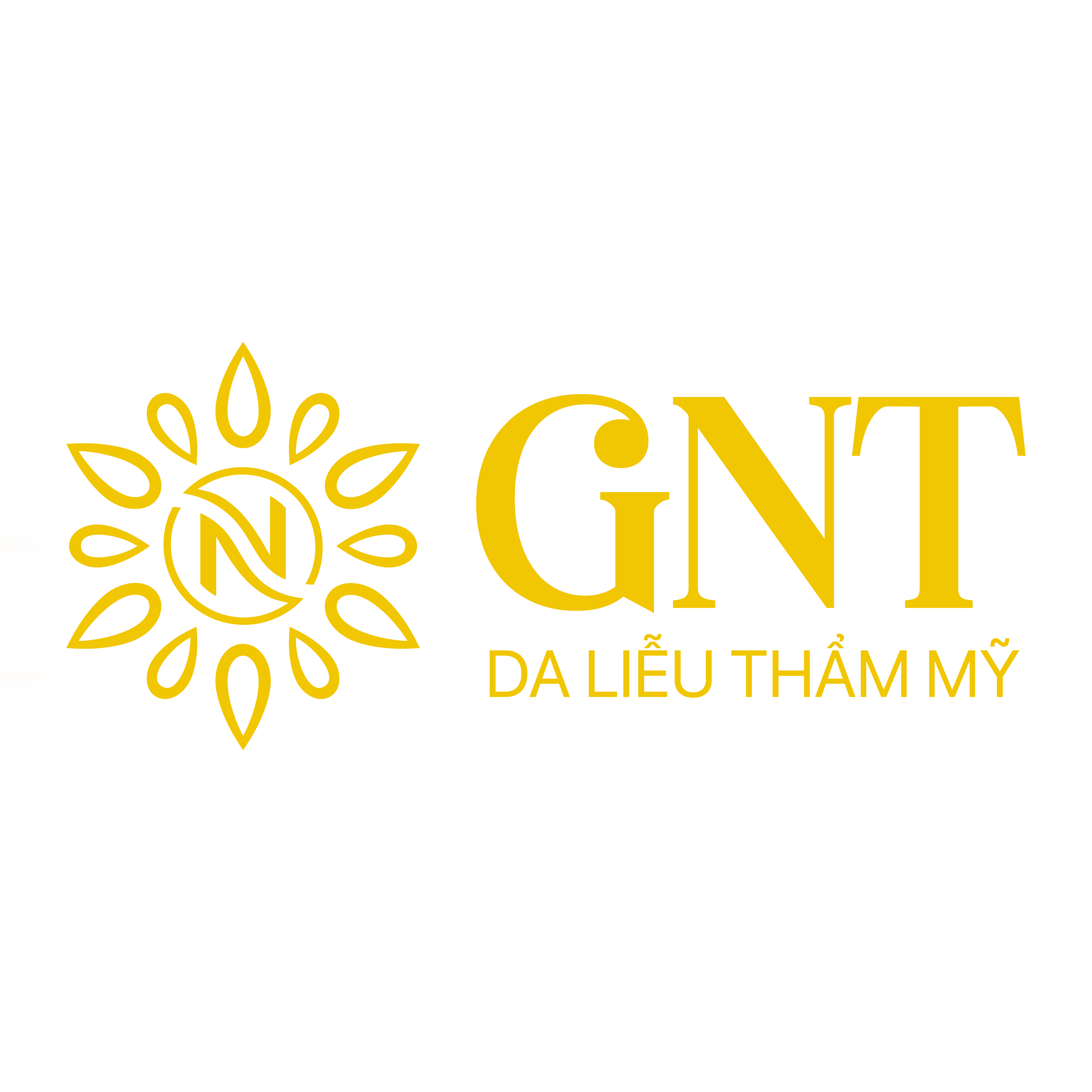 CÔNG TY TNHH PHÁT TRIỂN DA LIỄU THẨM MỸ GNT