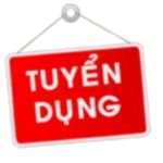 Hộ Kinh Doanh Ong Vàng