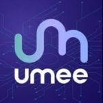 CÔNG TY CỔ PHẦN TẬP ĐOÀN TÀI CHÍNH CÔNG NGHỆ UMEE