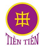 CÔNG TY CỔ PHẦN ĐẦU TƯ TIỀN TIẾN