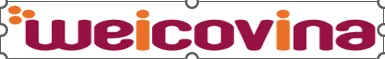 Công ty Cổ phần Wei Xern Sin Việt Nam