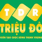 CÔNG TY CỔ PHẦN ĐẦU TƯ PHÁT TRIỂN ĐỊA ỐC TRIỆU ĐÔ
