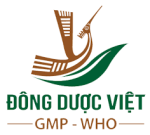 CHI NHÁNH CÔNG TY CỔ PHẦN DƯỢC PHẨM VIỆT (ĐÔNG DƯỢC VIỆT)