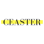 chi nhánh công ty TNHH caester VN