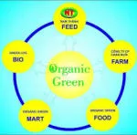 Chuỗi Thực phẩm sạch Organic Green