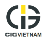 CIG VIETNAM