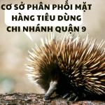 CƠ SỞ KINH DOANH HƯNG PHÁT