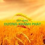 Công ty Bất Động Sản Đất Vàng