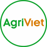 Công ty Cổ phần ABer Invest (AgriViet.org)