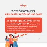 Công ty cổ phần Align Việt Nam