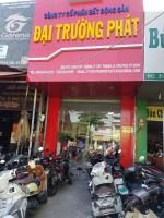 công ty cổ phần bất động sản đại trường phát