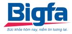 Công ty Cổ phần BigFa