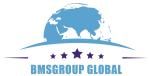 Công ty Cổ phần BMSGroup Global