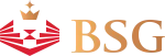 Công ty cổ phần BSG Holding