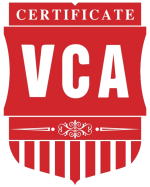 CÔNG TY CỔ PHẦN CHỨNG NHẬN VCA