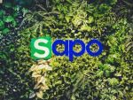 Công Ty Cổ Phần Công Nghệ Sapo