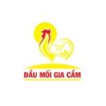 CÔNG TY CỔ PHẦN ĐẦU MỐI GIA CẦM