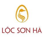 Công ty cổ phần đầu tư bất động sản Lộc Sơn Hà