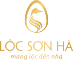 CÔNG TY CỔ PHẦN ĐẦU TƯ BẤT ĐỘNG SẢN LỘC SƠN HÀ