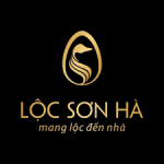 CÔNG TY CỔ PHẦN ĐẦU TƯ & PHÂN PHỐI BẤT ĐỘNG SẢN LỘC SƠN HÀ MIỀN TRUNG - CHI NHÁNH QUẢNG NGÃI