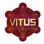 CÔNG TY CỔ PHẦN ĐẦU TƯ QUỐC TẾ VITUS